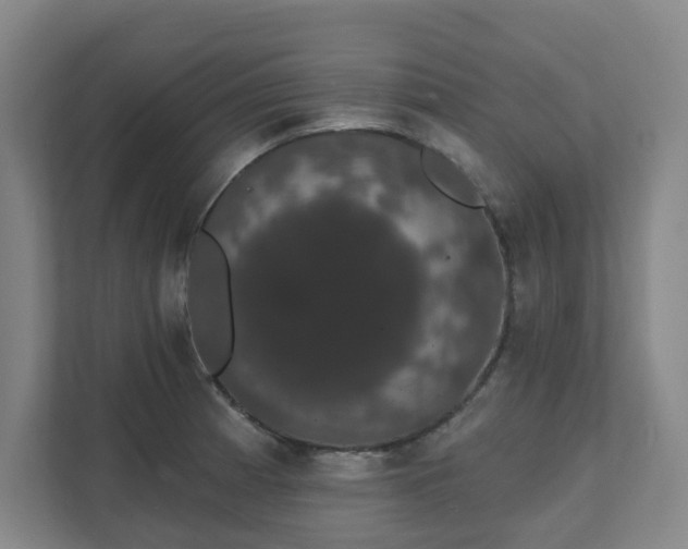 X0000111521185200907211218