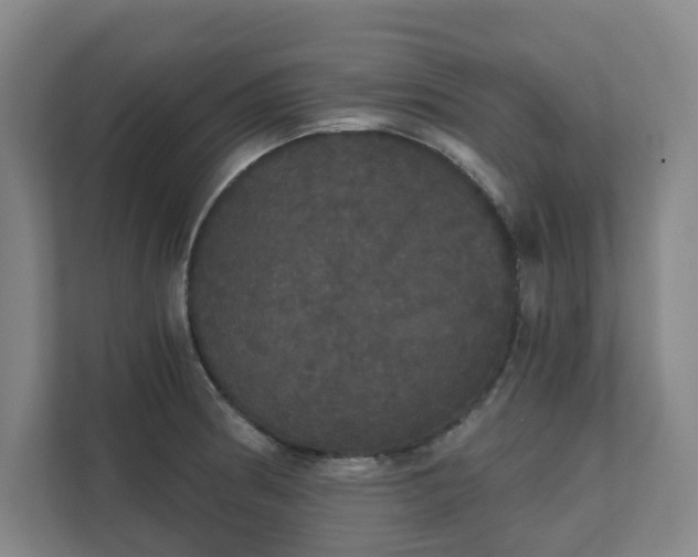 X0000111521186200907211218