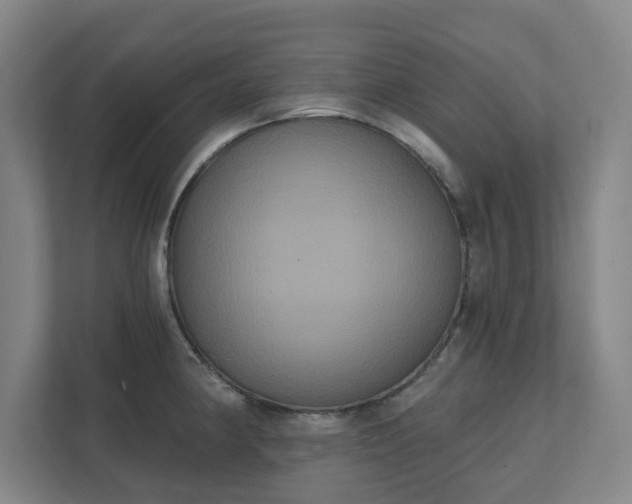 X0000111521190200907211218