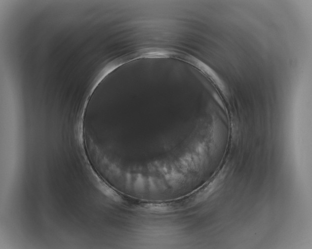 X0000111521194200907211218