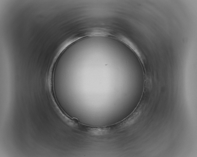 X0000111521195200907211218
