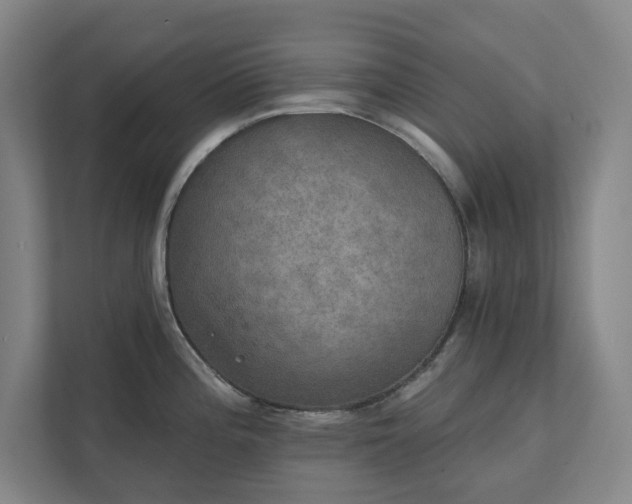 X0000111521196200907211218