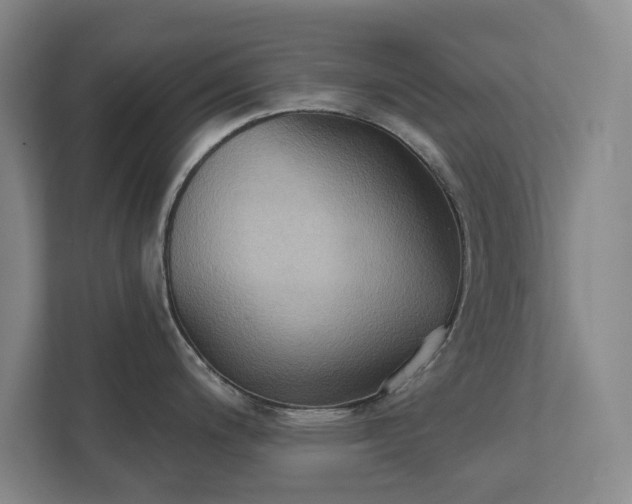 X0000111521200200907211217