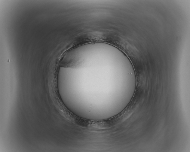 X0000111521201200907211217