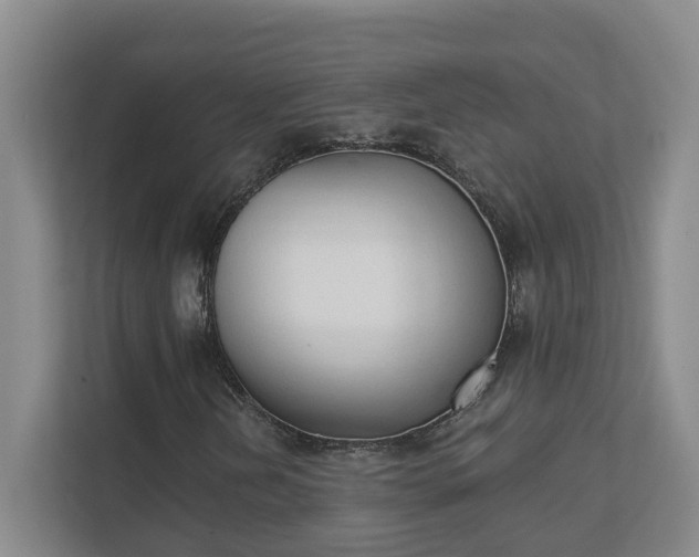 X0000111521202200907211217