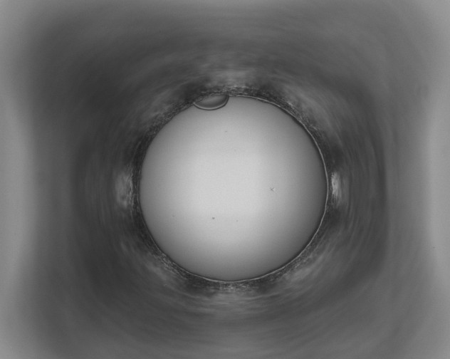 X0000111521203200907211217