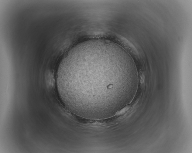 X0000111521204200907211217