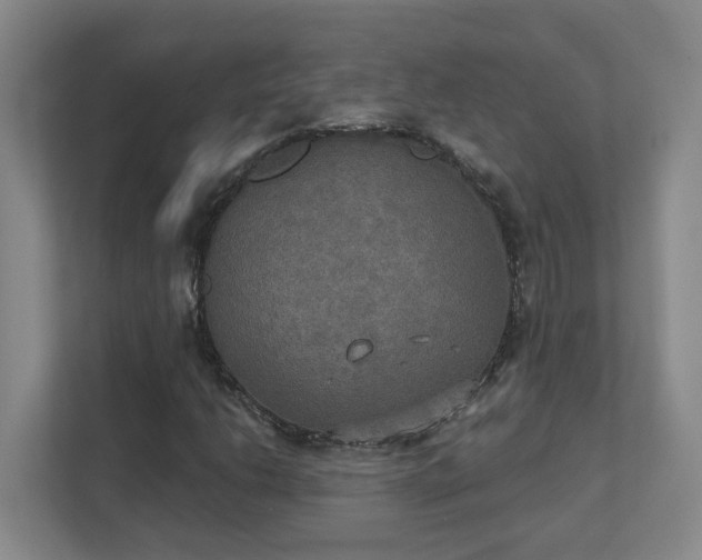 X0000111521206200907211217