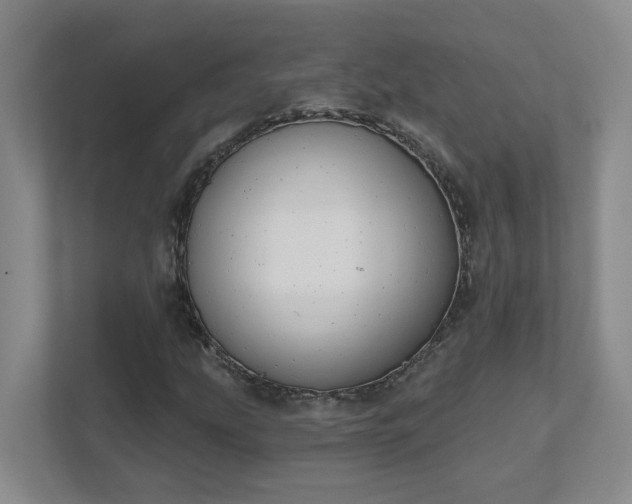 X0000111521207200907211217