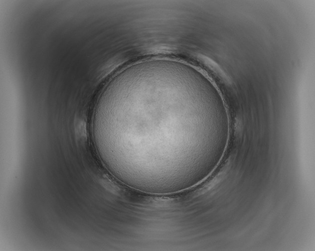 X0000111521209200907211217