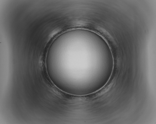 X0000111521210200907211217