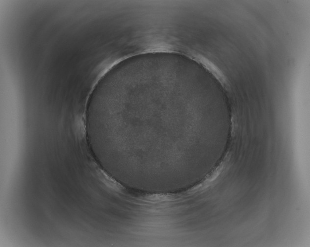 X0000111521212200907211217