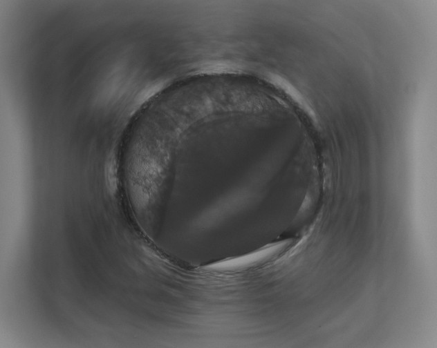 X0000111521213200907211217