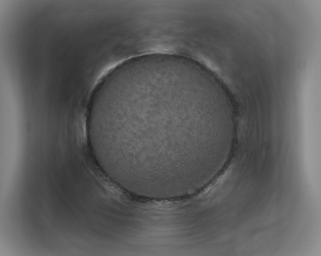 X0000111521214200907211217