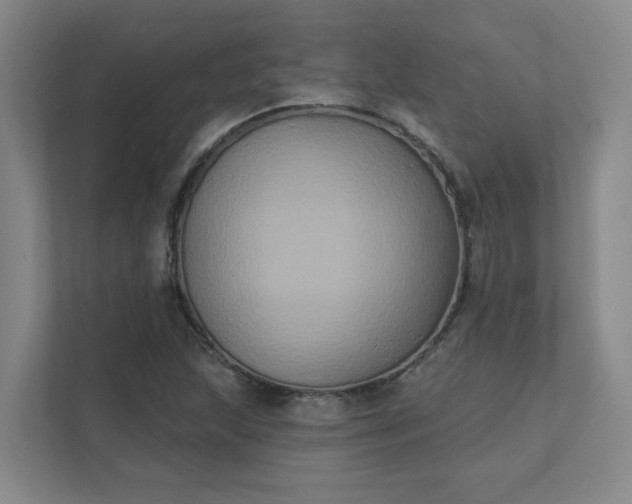X0000111521215200907211217