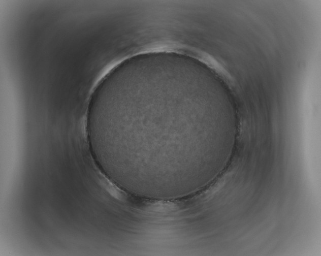 X0000111521216200907211217