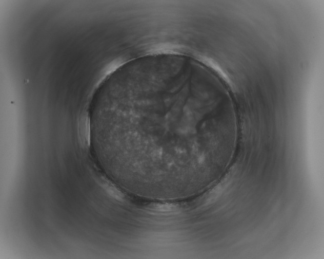X0000111521219200907211217