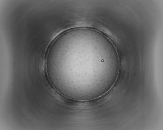 X0000111521220200907211217
