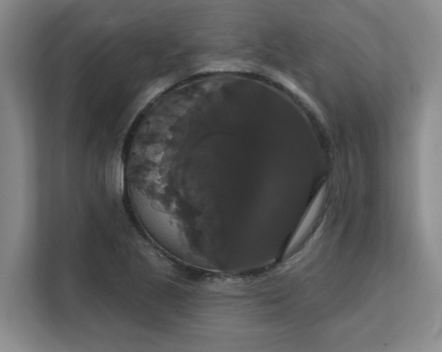 X0000111521221200907211217
