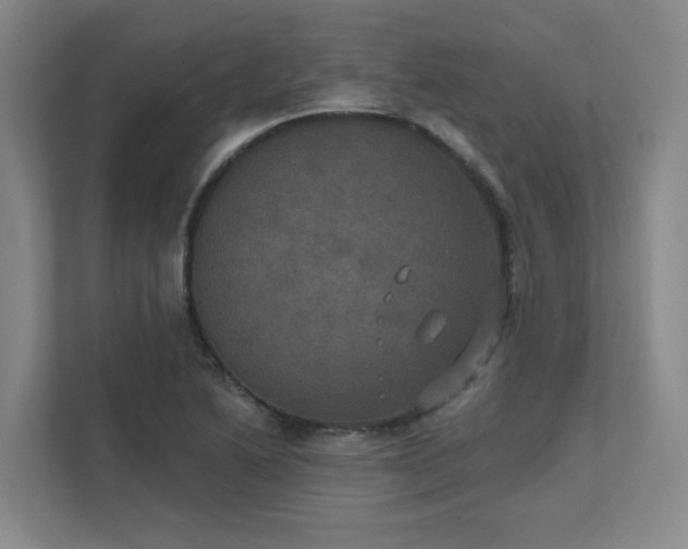 X0000111521222200907211217