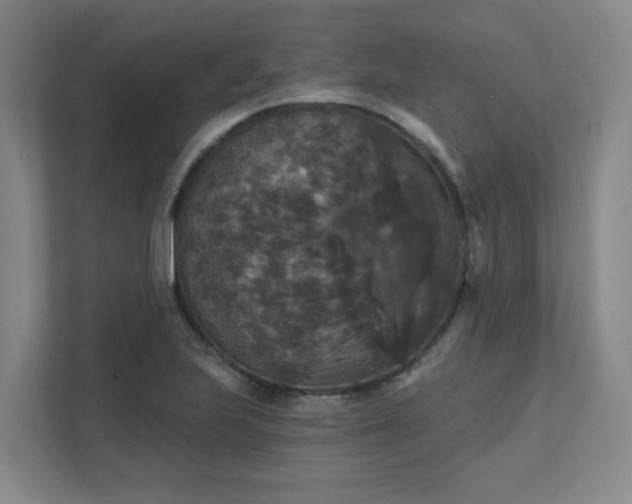 X0000111521223200907211217