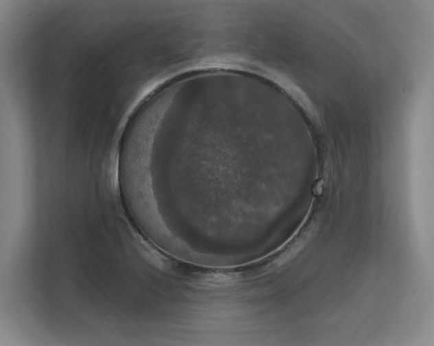X0000111521224200907211217