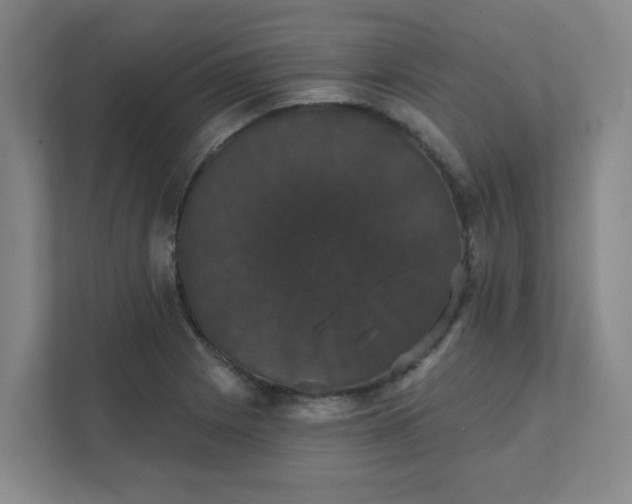 X0000111521225200907211217