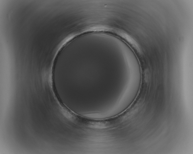 X0000111521229200907211217