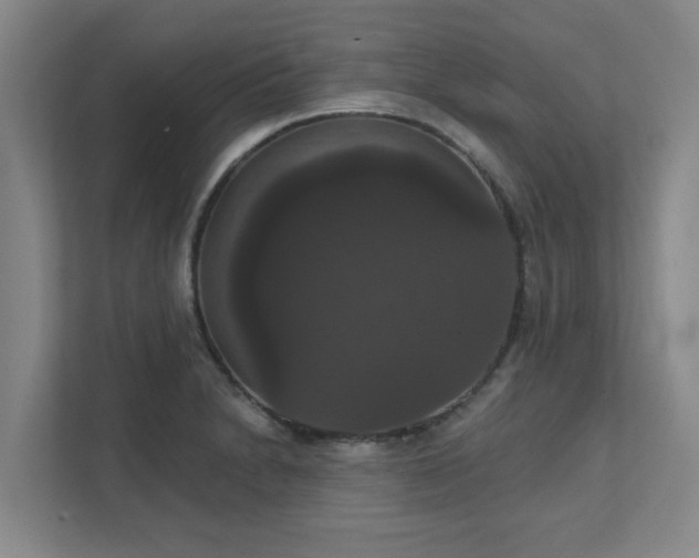 X0000111521230200907211217