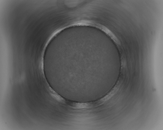 X0000111521232200907211217
