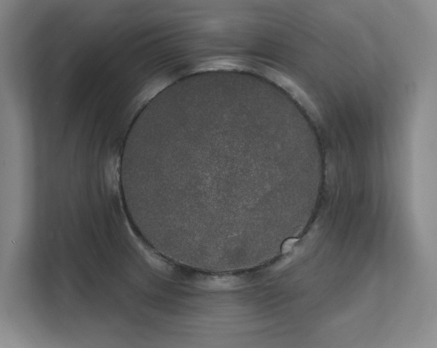 X0000111521233200907211217