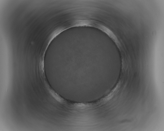 X0000111521234200907211217
