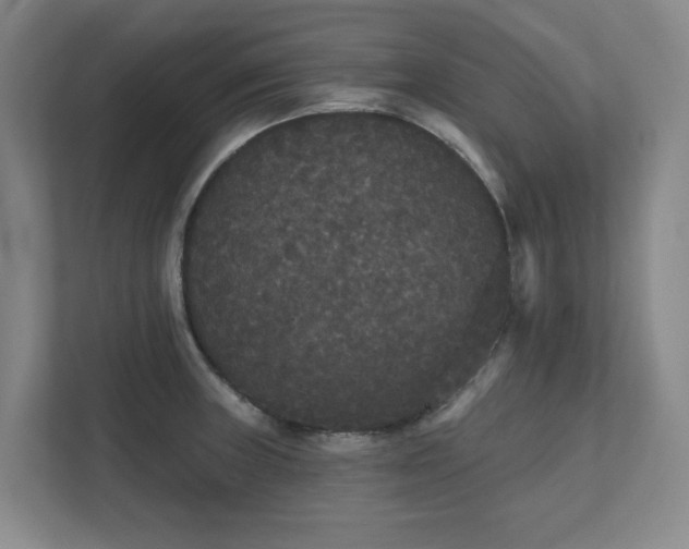 X0000111521235200907211217