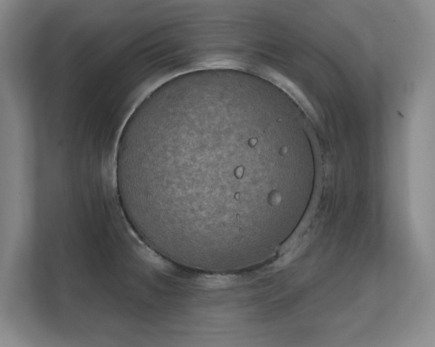 X0000111521236200907211217
