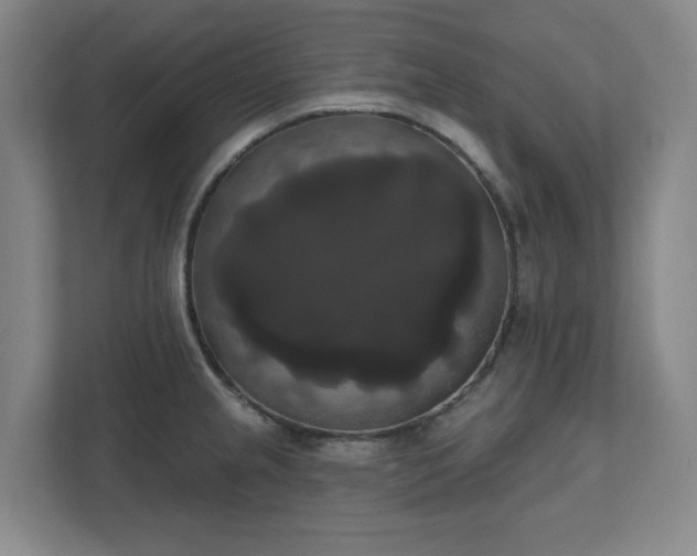 X0000111521237200907211217