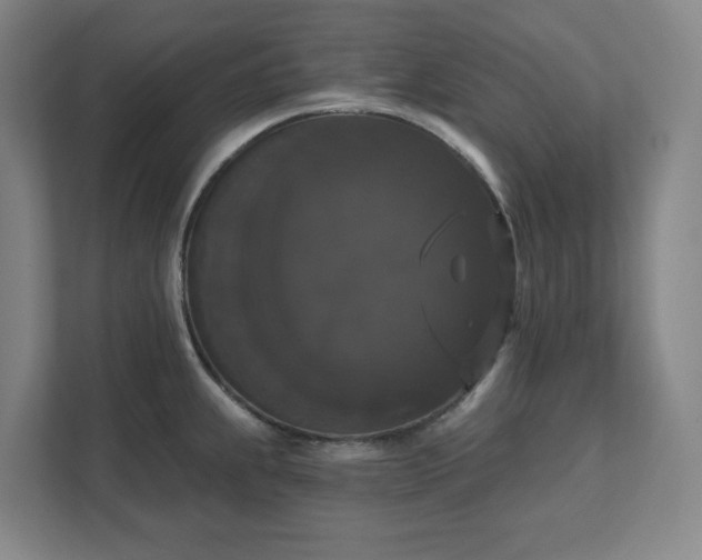 X0000111521239200907211217