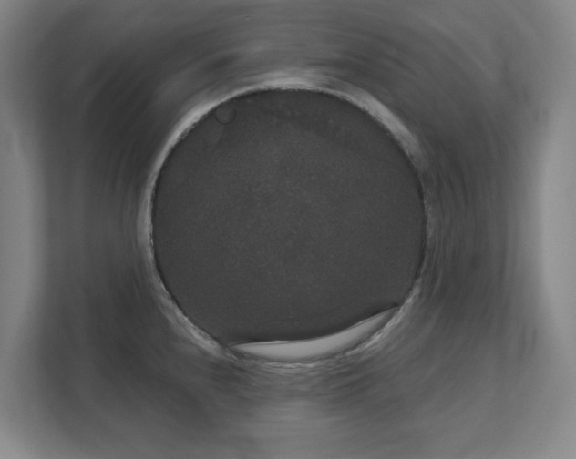 X0000111521240200907211217