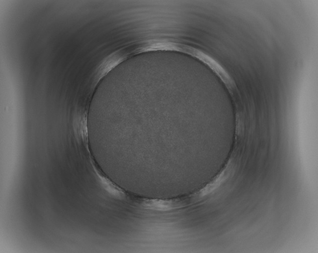 X0000111521241200907211217