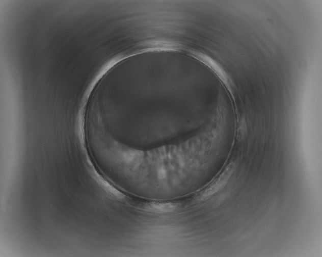 X0000111521243200907211217