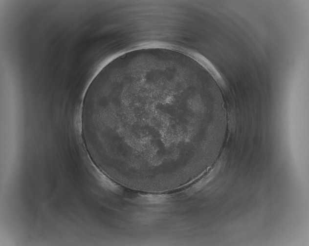 X0000111521244200907211217