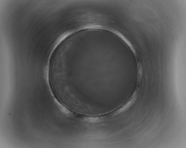 X0000111521245200907211217