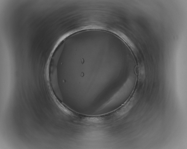 X0000111521246200907211217