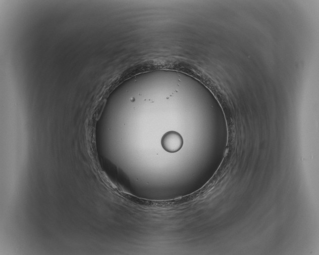X0000111521249200907211217