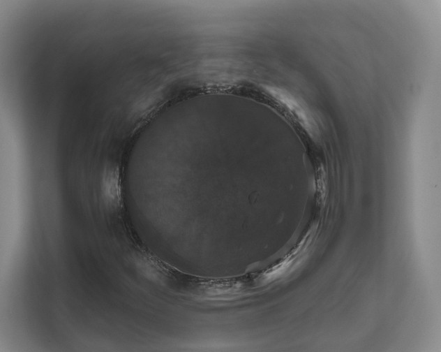 X0000111521252200907211217