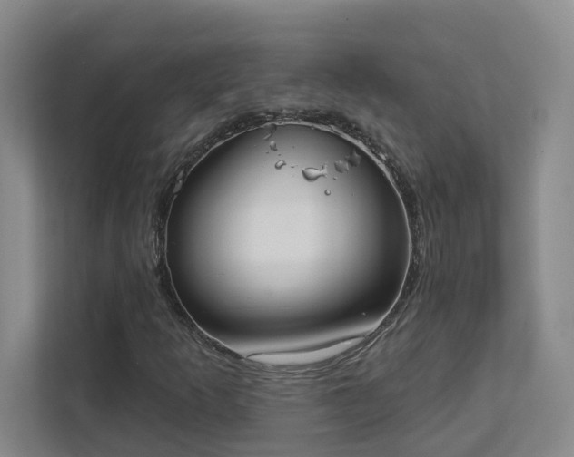 X0000111521253200907211217