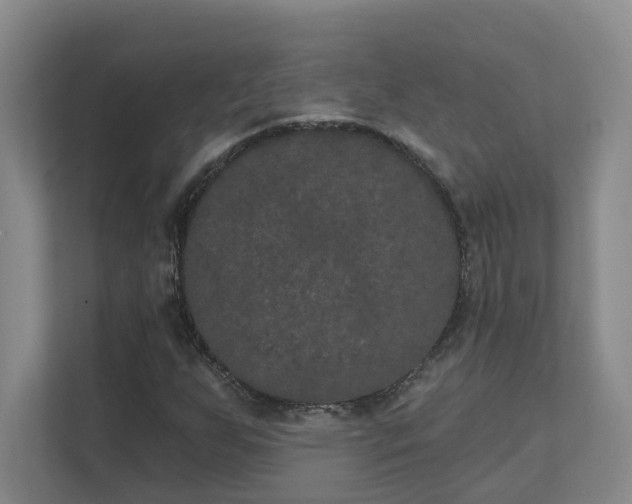 X0000111521255200907211217