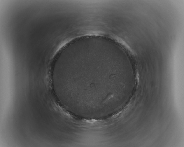 X0000111521256200907211217