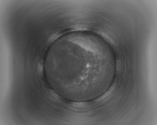 X0000111521257200907211217