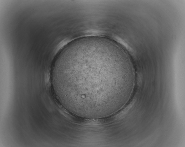 X0000111521259200907211217