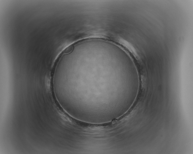 X0000111521260200907211217